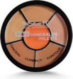 INSIGHT Pro Concealer Palette CR-105 - Image 4