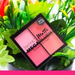 Technic blush 4color