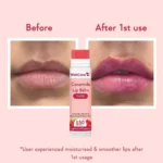 WishCare Ceramide Lip Balm SPF 50 PA+++