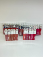 BRIBRI LIP GLOSS 10Pcs Set BR101113A