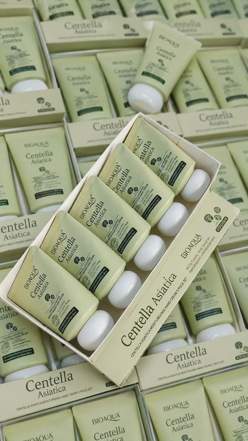 731422461_1016432537413395_1359387351472224814_n Bioaqua Centella hand cream set 5pcs Bqy 90263 - Image 1